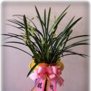 대구자동차상사 이미지