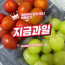 수원 과일 맛집 찾는다면 지금과일 수원직영점 후기