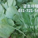 신광청과 이미지