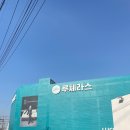 꿈꾸는 요셉 &#39;디노&#39; 시리즈 매장 방문 !!