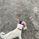 옥녀봉 낚시터 이미지