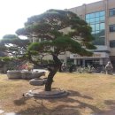 형주병원 이미지