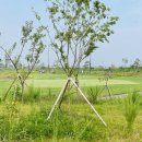 베르힐cc 영종 | 베르힐 cc 영종 오션 코스 라운드 후기 - New&amp;Hot