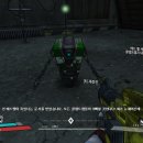 뉴헤이븐 이미지