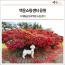 백운쇼핑센터 이미지