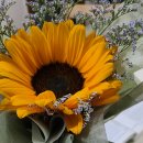 중영농장 | 정도전의 수완과 음모, 목은 이색, 한국사 공부방