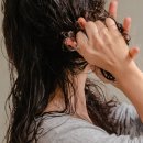 (주)엠지에프아이 | 건조하고 갈라진 히피펌 머리끝관리 더마힐 뉴트리션 에센스 두통째 사용중