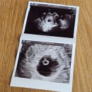 악토버 | 판교 카페거리 맛집 카페 악토버 브런치 후기 (웨이팅, 메뉴, 주차)