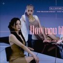 How You Like That 티저 카카오 검색결과