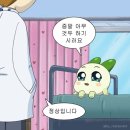 토하주 이미지