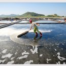 대전으로 가는 여행 이미지