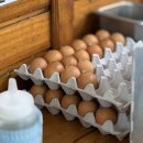 뉴발리모텔 이미지