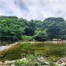 로베펜션 | 덕유산 자연 속 아늑한 휴식 공간, 무주 로베펜션에서 보내는 하루:))