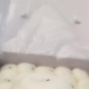 명품떡 이미지