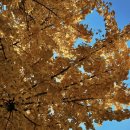 덕문고등학교 이미지