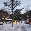 오색산새소리캠핑장 이미지