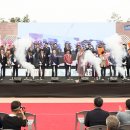 태평성대협동조합 이미지