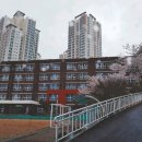 다송중학교 이미지