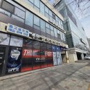 오토프랜드 | 광명골프매장 포틴 FQ플러스 여성아이언 무료 시타분석 선택후기