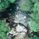 돈내코산책로화장실 이미지