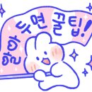 어르니 풀빌라 이미지
