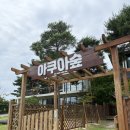 아쿠아숲속초 | 속초 이색카페 아쿠아숲 (야외는 강아지동반가능)