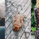 반려라이프 이미지