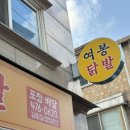 길동역 맛집 여봉닭발 강동구 존맛 무뼈닭발 포장