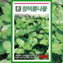 씨앗 - 남양주시 덕소로116번길 11 | 씨앗