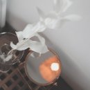 오후펜션 이미지