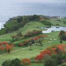 오션포인트 이미지