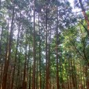 천문대길 이미지