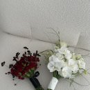 이동석 | 결혼 준비 : 글렌하우스에서 웨딩촬영 후기 (with 이동석 작가님)