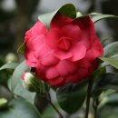 개화2리마을회관 이미지