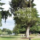 2024.08.12 미래에셋증권 / 뱅크웨어글로벌 매도 후기
