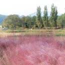 민속촌가든 이미지