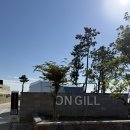 가우도 힐링펜션 | 강진글램핑 새로 오픈 전남신상글램핑 온길글램핑 다녀왔어요