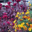 유화 민박 이미지