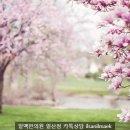 (주)사계절 이미지