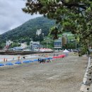 그린티민박