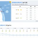 2022년 10월 1일(토요일) 10:00 현재 대한민국 날씨정보 및 기상특보 발표현황 (울릉도, 독도 포함 - 기상청발표) 이미지