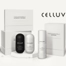 셀럽코리아(CELLUV KOREA), 한국적인 글로벌 네트워크마케팅 기업 설립! 이미지