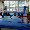 산남 패밀리 복싱 GYM 네이버블로그