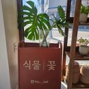 헤이리프 이미지