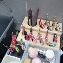 애견멀티샵 이미지