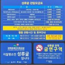 성류굴주차장(북부2) | 울진 여행 | 여름 실내 데이트 성류굴 입장료, 주차장, 할인 꿀팁
