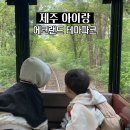 영인팜 | 제주아이랑 가볼만한곳 에코랜드 테마파크 겨울 방문 후기