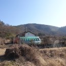 거북산 등산로 입구 Daum카페