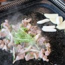 신선산오리 이미지