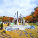 우포의 숲속 이미지